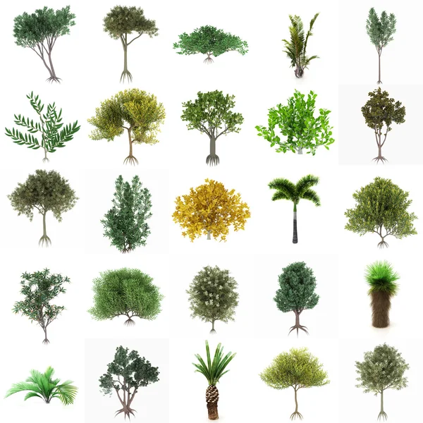 Ideální skupina stromů izolovaných na bílém pozadí. dvacet fi — Stock fotografie