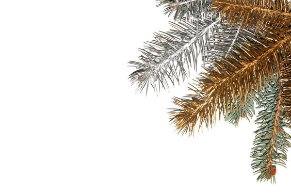 シルバー、ゴールド、緑の松の木の枝. — ストック写真