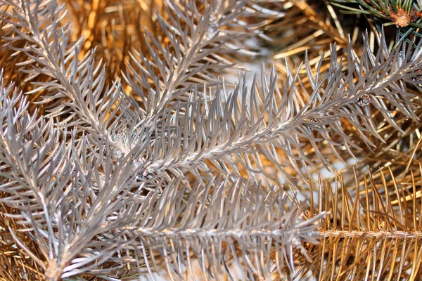 Gümüş ve altın çam ağacı dalları — Stok fotoğraf