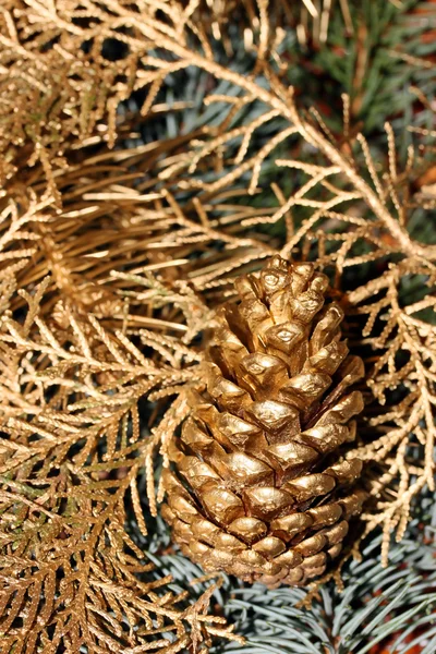 Cono de pino dorado —  Fotos de Stock
