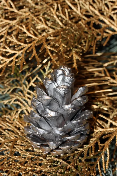 Pinho de prata cone — Fotografia de Stock