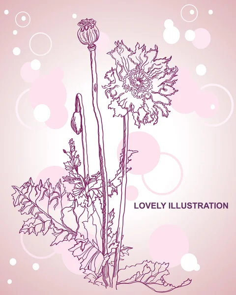 Fleurs Pavot Illustration Encre Vectorielle — Image vectorielle