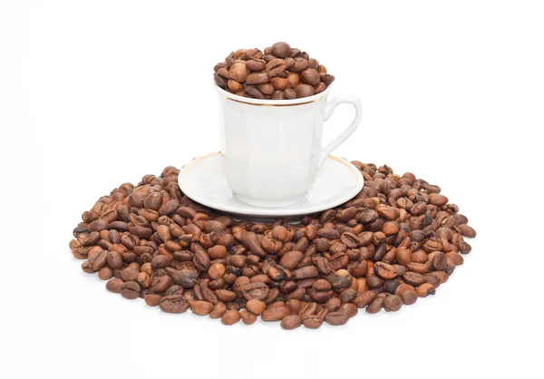 Cup with the corns of coffees on the small group of coffee — Stock Photo, Image