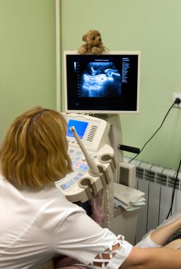 doğum uzmanı hamile karnına ultrasonik tarama tarafından incelenmesi.