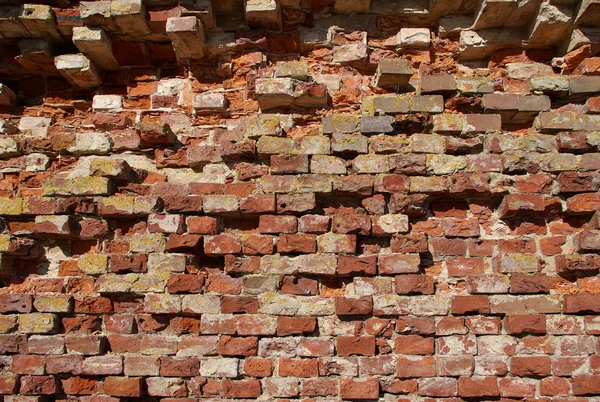 stock image Old brick wall