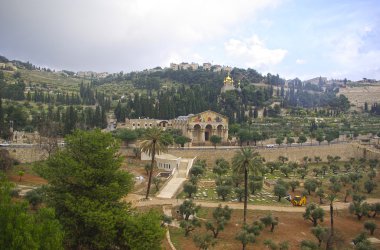 Mount of olives clipart