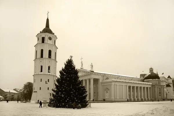毛皮上大教堂广场 维尔纽斯 立陶宛的树 — 图库照片