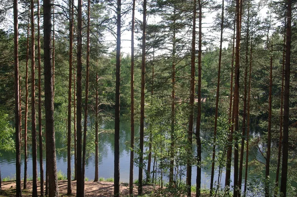 Lesní jezero — Stock fotografie