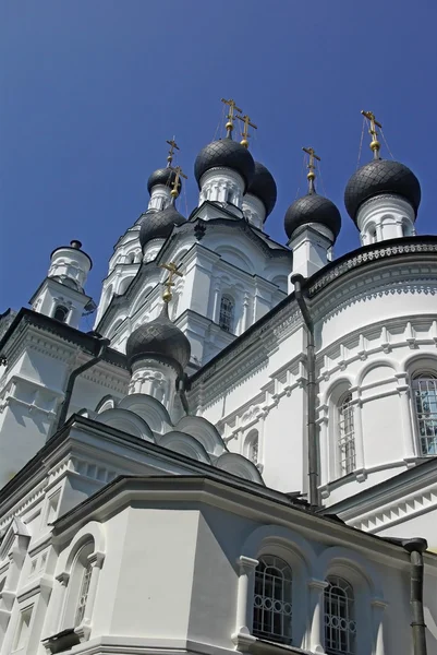 Den ortodokse katedral – stockfoto