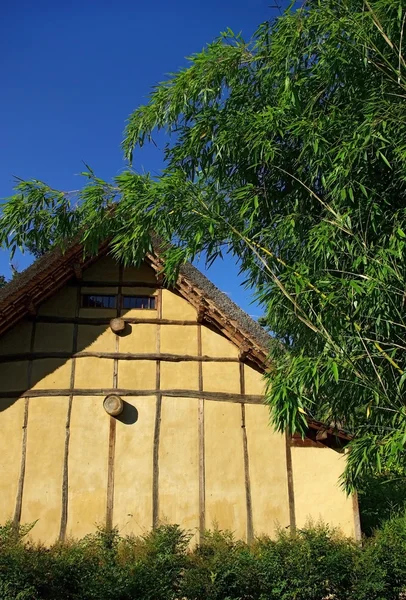 Huis in bamboe kreupelhout — Stockfoto