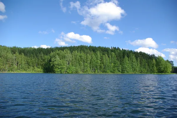 Lago da floresta Imagem De Stock