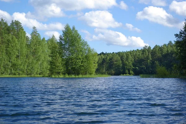Lago da floresta — Fotografia de Stock
