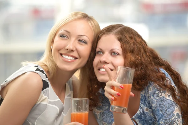 Merry girl-friends — Stock Photo, Image