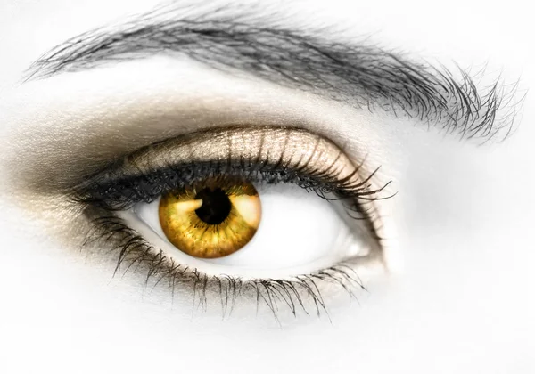 Χρυσά μάτια — Φωτογραφία Αρχείου