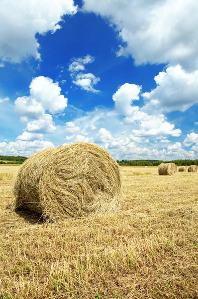 stock image Hay roll