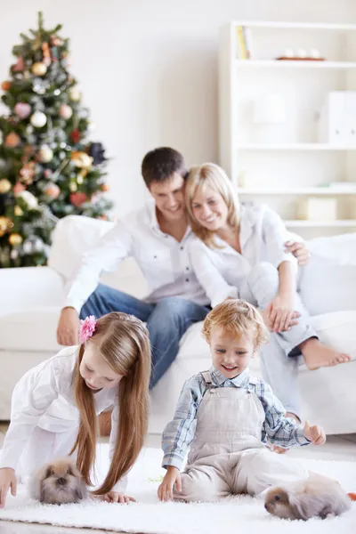 Rodinné štěstí — Stock fotografie