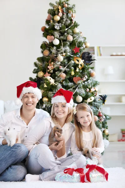 Weihnachten zu Hause — Stockfoto