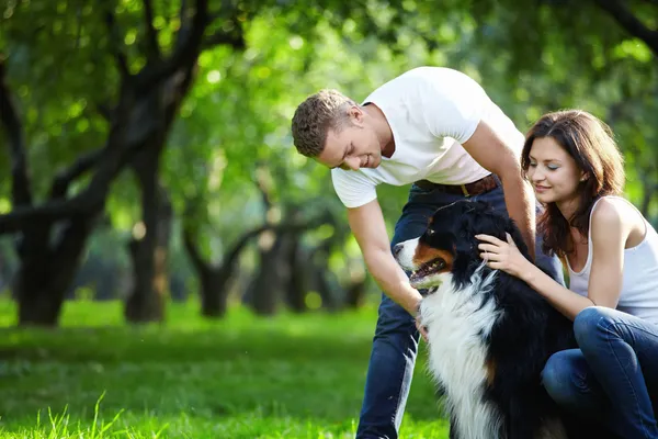 Ein Junges Paar Geht Mit Einem Hund Park Spazieren — Stockfoto