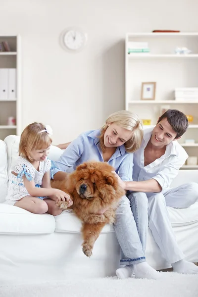 Young Parents Child Playing Dog — Stock Photo, Image