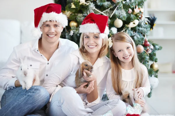 Glückliche Familie Weihnachtsmützen Mit Den Kaninchen Auf Dem Hintergrund Der — Stockfoto