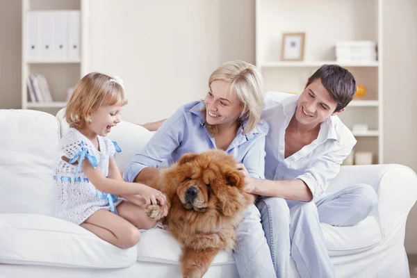Junge Familie Mit Hund Hause — Stockfoto