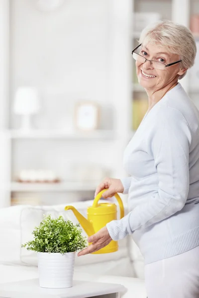 Mature Attractive Woman Watering Flowers Home — Stock Photo, Image
