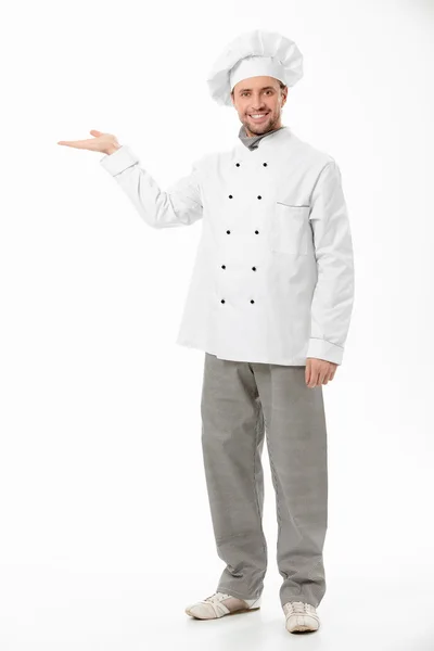 The attractive cook — Stock Photo, Image