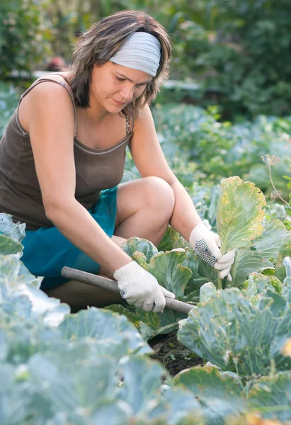Woman works in garden — Stock Photo, Image