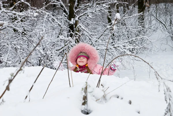 Inverno frio — Fotografia de Stock