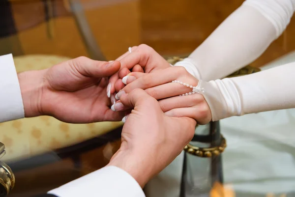 Hands Groom Bride — Stock Photo, Image