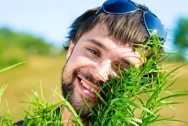 Junger Mann Mit Brille Hanfbusch Schießerei Marihuana Feld — Stockfoto