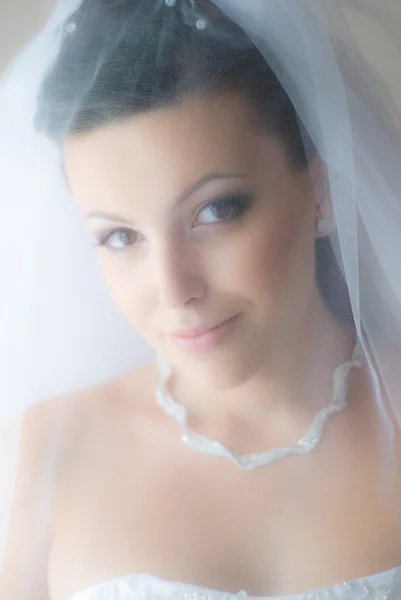 Bride under veil — Stock Photo, Image