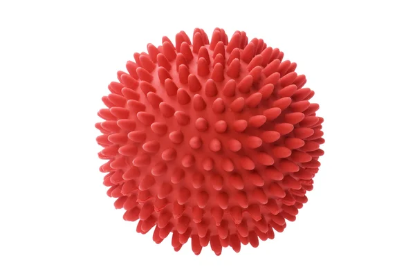 Ball toy for dog Stock Picture