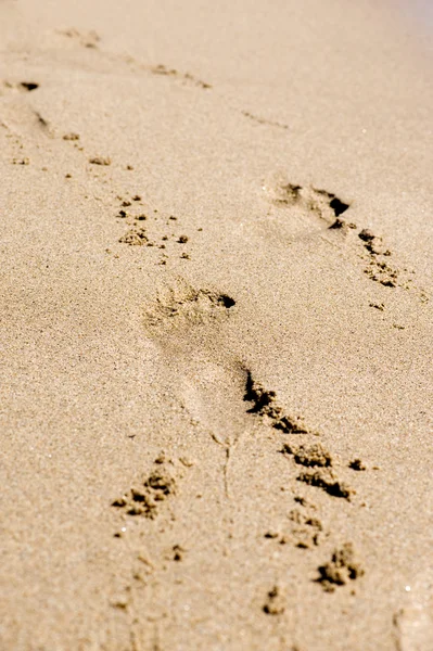 Impronta nella sabbia — Foto Stock