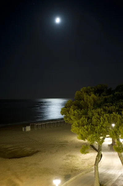 Natt til strand med måne – stockfoto