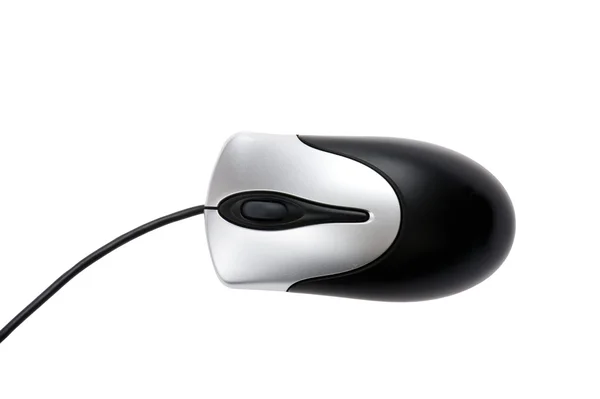 Macro ratón ordenador — Foto de Stock
