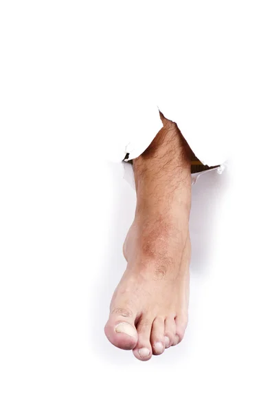 Noha na bílém pozadí — Stock fotografie