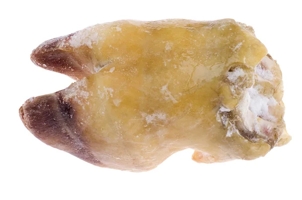 Νωπό βόειο κρέας πόδι μακροεντολή — Φωτογραφία Αρχείου