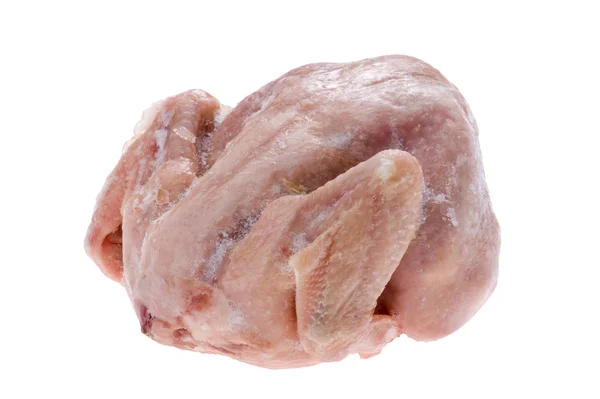 Syrové kuře na bílém pozadí — Stock fotografie
