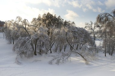 Russia - Moscow winter snow park Tsaritsyno clipart