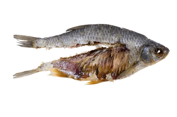 Nesne Üzerinde Beyaz Yemek Kuru Balık Yakın Çekim — Stok fotoğraf