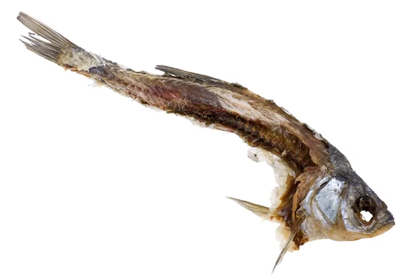 Суха риба на білому тлі — стокове фото