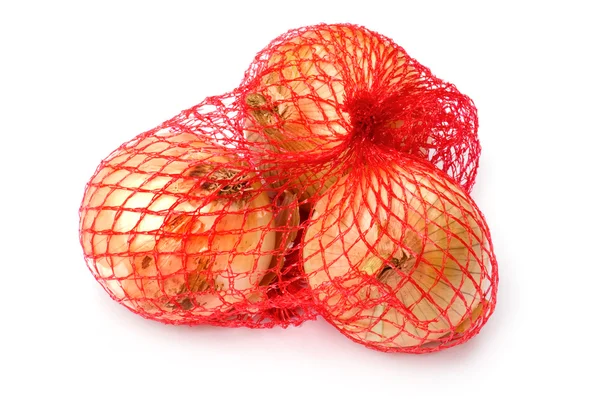 Object White Food Onion Close — Stock Photo, Image
