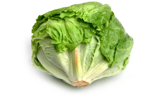 Object White Food Cabbage Close — Stock Photo, Image