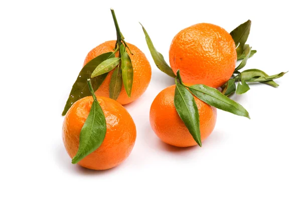 Nesne Üzerinde Beyaz Gıda Mandarin Yakın Çekim — Stok fotoğraf