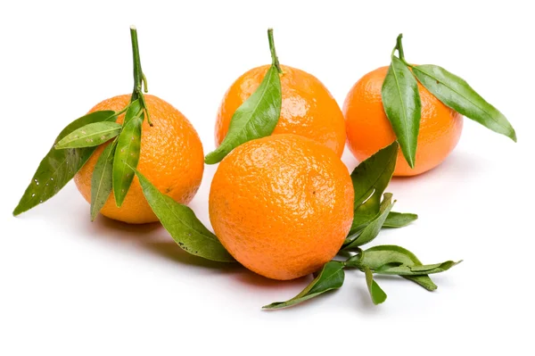 Mandarin beyaza yakın çekim — Stok fotoğraf