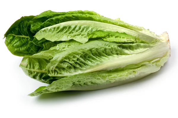 Salata makro — Stok fotoğraf