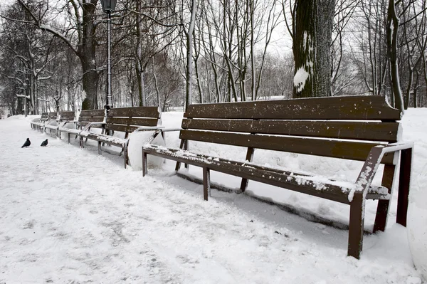 Пустая скамейка в зимнем парке — стоковое фото