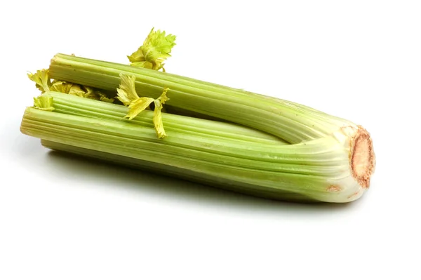Object White Food Celery Close — Stock Photo, Image