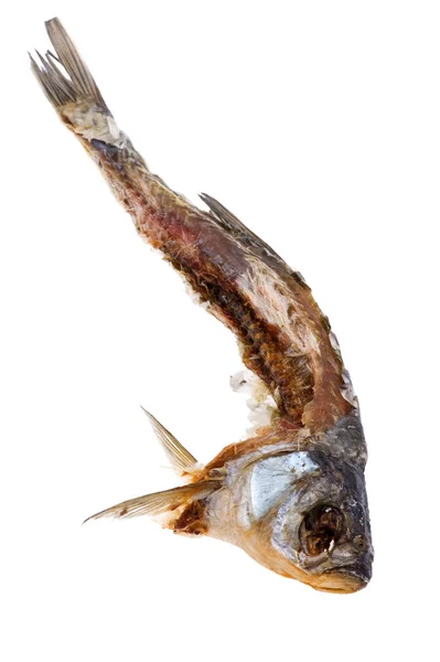 Сухая рыба закрывается — стоковое фото